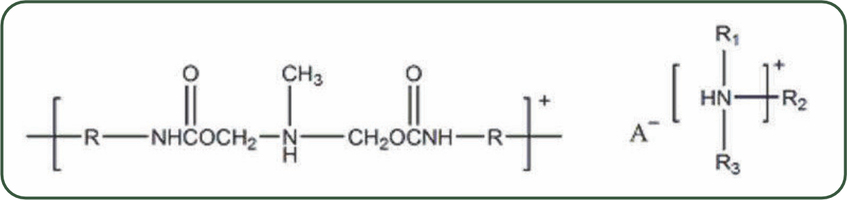 AMICELL Product