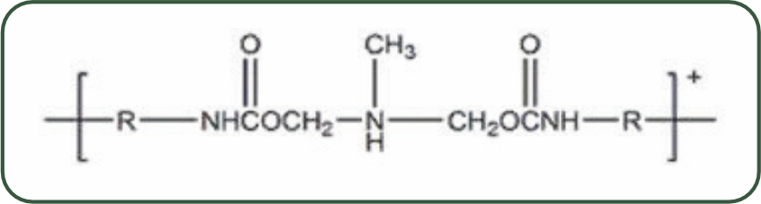 AMICELL Formula